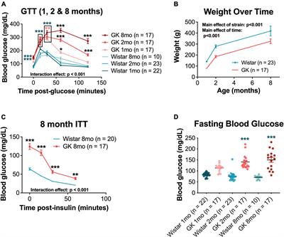 Diabetic rats with high levels of endogenous dopamine do not show retinal vascular pathology
